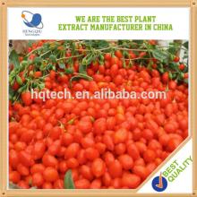 Organic goji berry berries herb extract China supplier