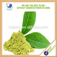 Manufacturer High QualityGreen Tea Extract Herb Medicine Made in China