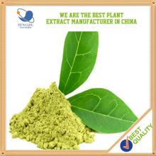 Chinese Wholesale Herbal Extract Green Tea Extract