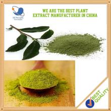 Herbal Medicine Green Tea Extract China Supplier