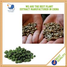 100% Natural Herb Medicine Bulk Powder Green Coffee Bean Extract