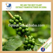 High Quality Herbal Extract green coffee bean extract herb medicine made in China