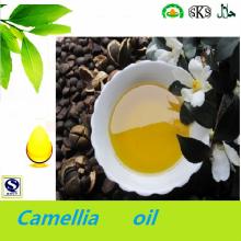  Camellia  japonica  seed   oil 