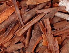 Foctory Direct Sale--Cinnamon Powder 10:1