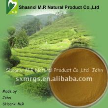  Natural  Plant  Extract  Tea Polyphenols