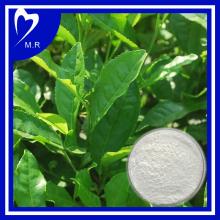 Green  tea   extract   l - theanine   powder 