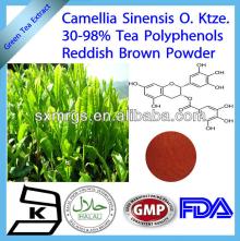 100% Natural Green Tea Extract Tea Polyphenols Powder