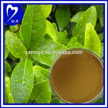 100% Natural green tea extraction polyphenols powder 50%-98%