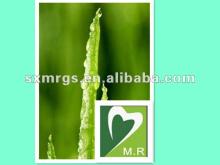 Aloe extract with Barbaloin active