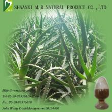 Stock Goods--Alose Vera Extract Powder