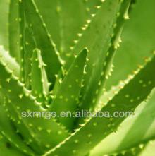 NATURAL PLANT EXTRACT ALOE OIL FOR ANTIPHLOGOSIS