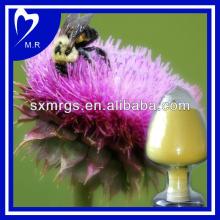 Silybum marianum (L) extract/ Milk Thistle seed P.E.