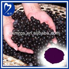 ISO9001 Manufacturer Supply natural acai berry extract