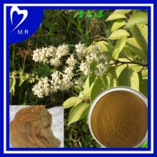 Natural Triptolide 98%/ Thunder   God   Vine  Extract