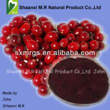 Cranberry Extract,American Imported Fruit,Vaccinium Macrocarpon Origin