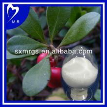 Natural alpha arbutin& beta arbutin --cosmetic ingredient