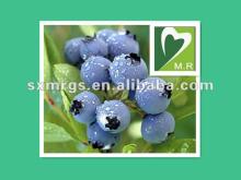 Manufacturer Supply Bilberry Extract with Good quality for Health