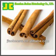 Delicious Spice Cinnamon Extract/Cassia Bark P.E.