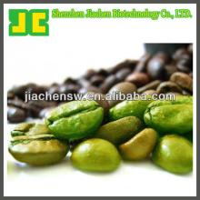 Green Coffee Bean exract Chlorogenic Acid 50% for losing weight
