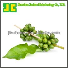Pure Green Coffee Bean exract powder 10%~50% chlorogenic acids for losing weight