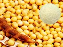 Natural Soya Extract Powder