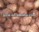 High quality konjac extract powder konjac glucomannan