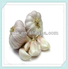 Garlic extract Allicin powder GMP