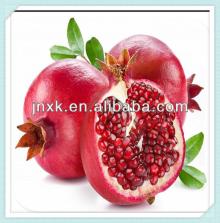 Organic  Pomegranate   Seed   Extract  GMP standard