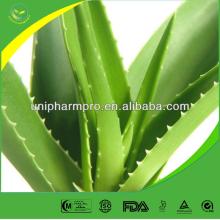 Factory supply best selling aloe vera extract in shampoo