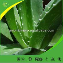 Factory supply free sample aloe vera  extraction   process 