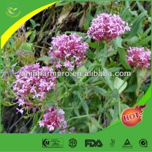 Factory supply nature 0.8% Valerian root extract