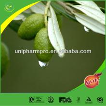 Manufacturers offer nature  Oleuropein   10 %- 60 % Olive leaf extract