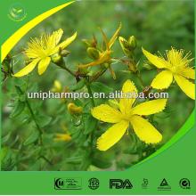 Pure st.john's wort extract (hypericin 0.3%)