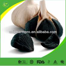 Black Garlic Extract