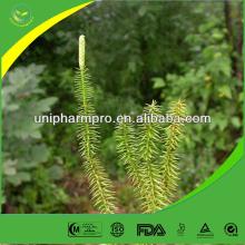 Factory supply high purity  Huperzia   serrate  Extract (in stock)