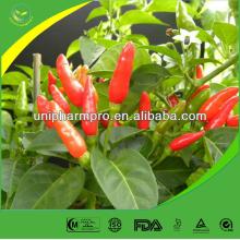 Professional manufacturer 100% natural pepper extract