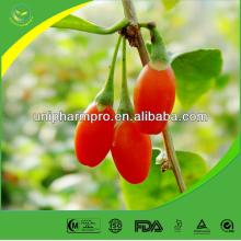 Factory offer natural Goji Extract
