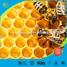 Manufacture supply natural Royal Jelly freeze dried powder (No addition)