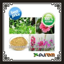 Althaea extract
