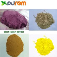 CINNAMON BARK EXTRACT