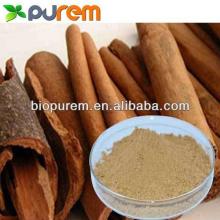 Best Price Cinnamon Bark Extract