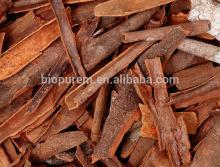 Natural High Quality Cinnamon extract/Nature cinnamon extract (Polyphenols, Flavone)/Gui pi