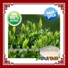 Green Tea Extract L Theanine