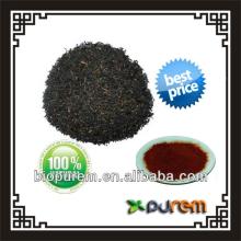 black tea extract theaflavin