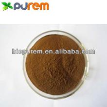 COCOA BEAN EXTRACT