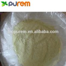 cocoa seed extract powder