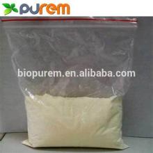 High quality Whey Protein Concentrate powder