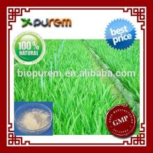  Aloe   Vera   Juice   powder 