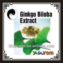 Factory Provide Ginkgo Biloba Herbal Extract