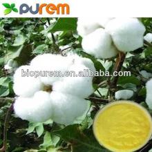 Hot Saling Cotton Seed Extract Gossypol acetic acid 98%